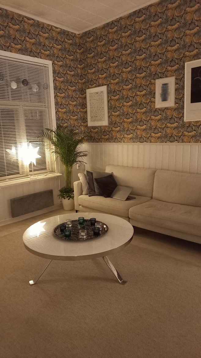 Festarimajoitus Ruisrock: 2 h + k, 70,0 m², Turku