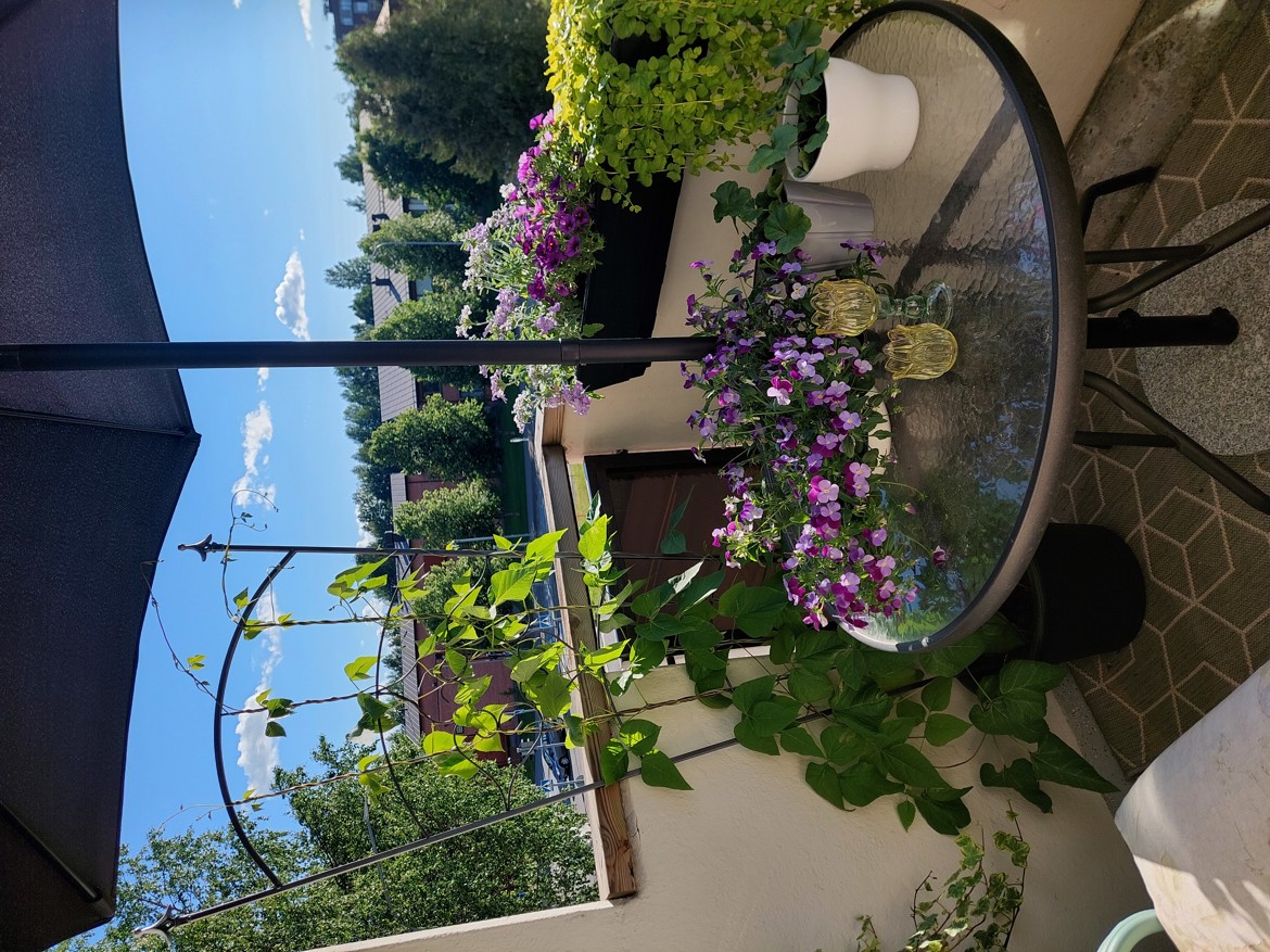 Festarimajoitus Joensuu: Kerrostalo, 1h+k, 30,0 m²